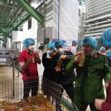 Hà Nam: Triển khai công tác bảo đảm an toàn thực phẩm Tết Nguyên đán Nhâm Dần và mùa Lễ Hội xuân năm 2022.